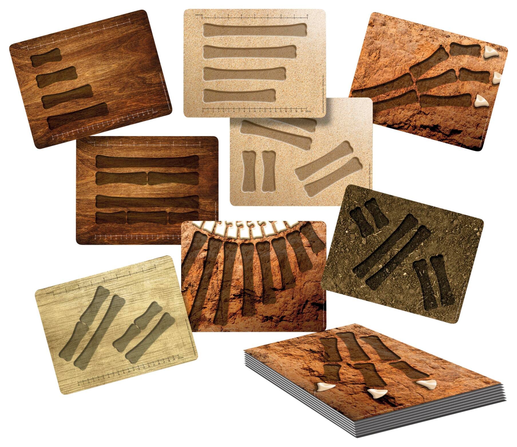 Measurement, Item Number 2024465